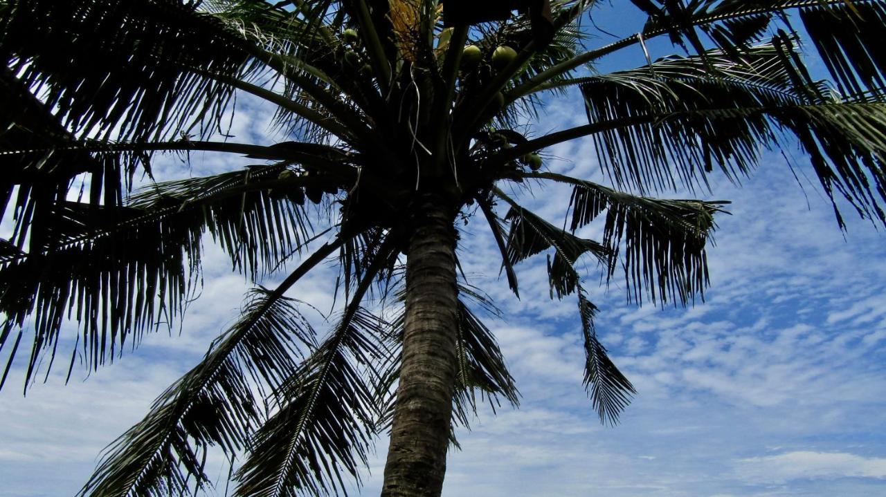 Dikaloha Surfschool And Stay Airsatang Exterior foto